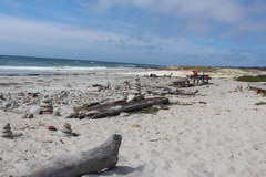 Дорога 17 mile drive, Дикие пляжи